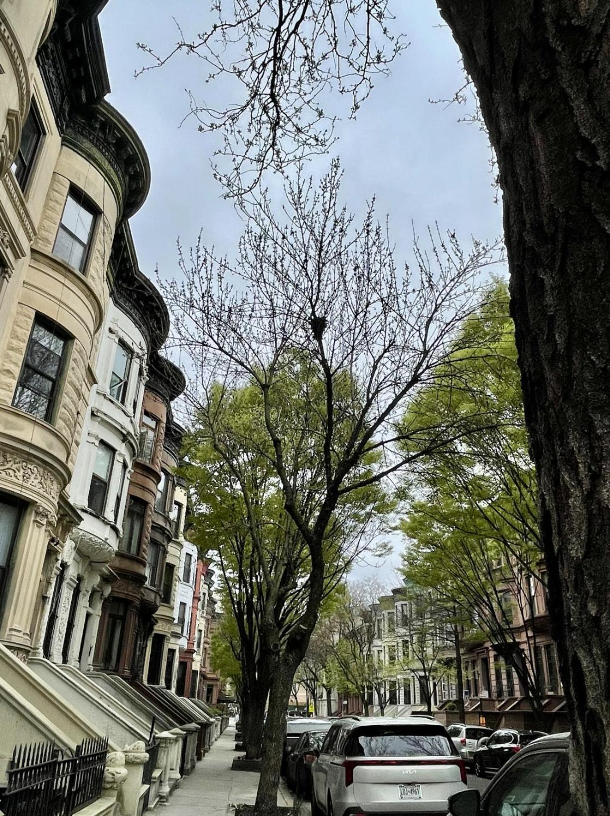 Nyc タウンハウス アパートメント ニューヨーク エクステリア 写真